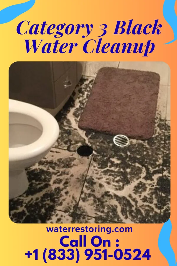 Category 3 Black Water Cleanup in Carrier, OK