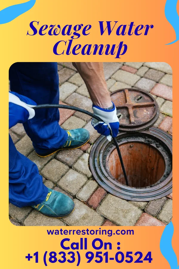 Sewage Water Cleanup in Carrier, OK